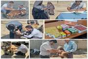 معاینه و درمان رایگان دام‌های بیمار روستای سیل زده مشهد طرقی سفلی در شهرستان شیروان